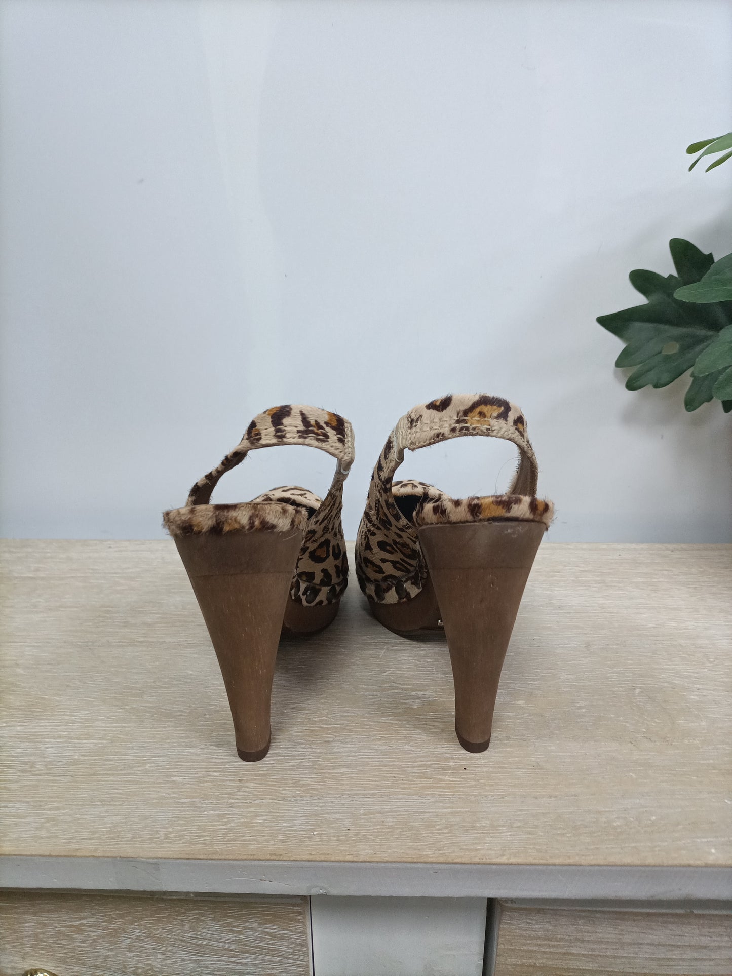 UTERQÜE. Zapatos animal print pelito T.38