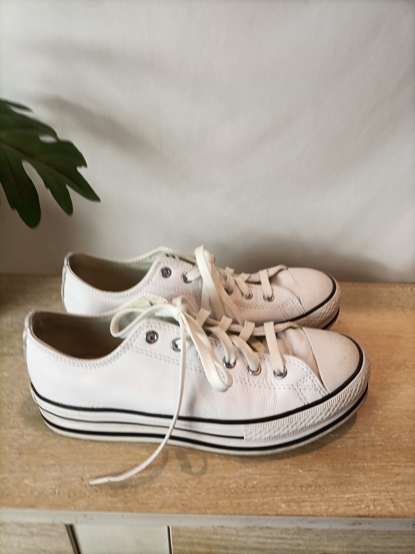 CONVERSE. Zapatillas blancas piel T.38